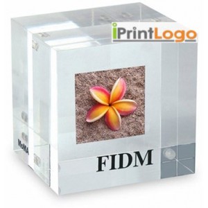 PAPER WEIGHTS-IGT-DT3332